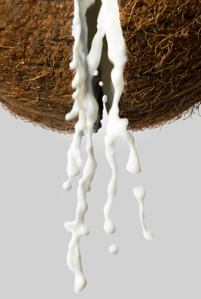Coconut Milk Coconut